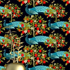 Meet your Posher, Fran